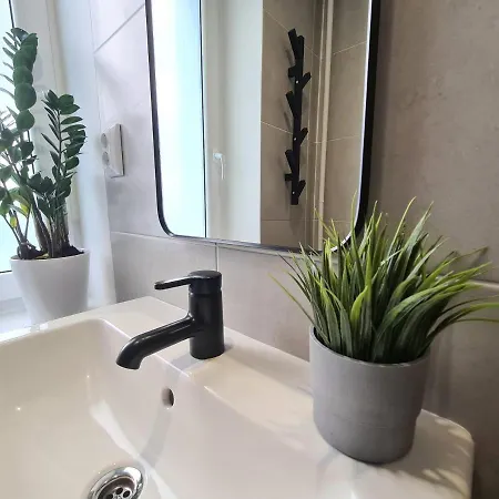 Koidula Sauna Apartement Korter