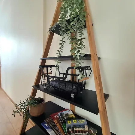 Koidula Sauna Apartement Korter Voru